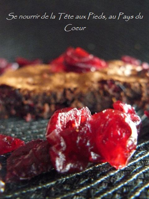 Carrés chocolat et cranberries, par Tifenn du blog se nourrir de la tête aux pieds