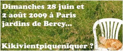 Pique-nique Bercy 2009