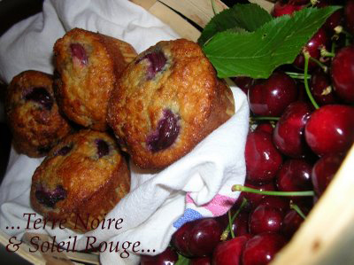 Muffins gourmands pour esprits vagabonds, par Taliashka