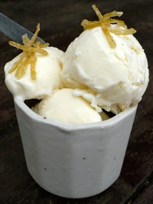 Glace au yaourt et aux zestes de citron confits, par Agastache