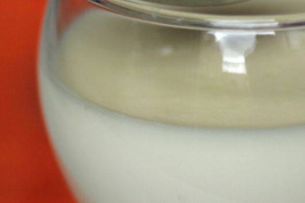 Panna cotta originale : 1001 Escales # lactée