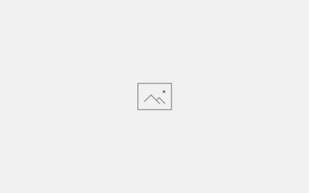 Element image placeholder eccd5ab8