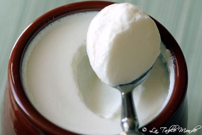 Yaourt bio, nature et light